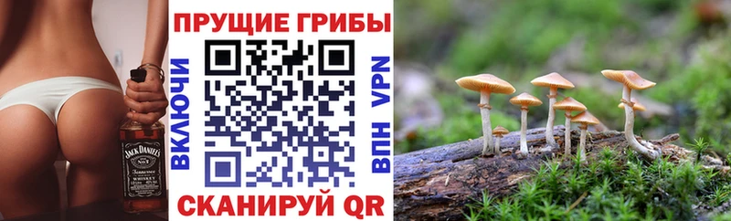 hydra маркетплейс  как найти закладки  Купино  Псилоцибиновые грибы MAGIC MUSHROOMS 